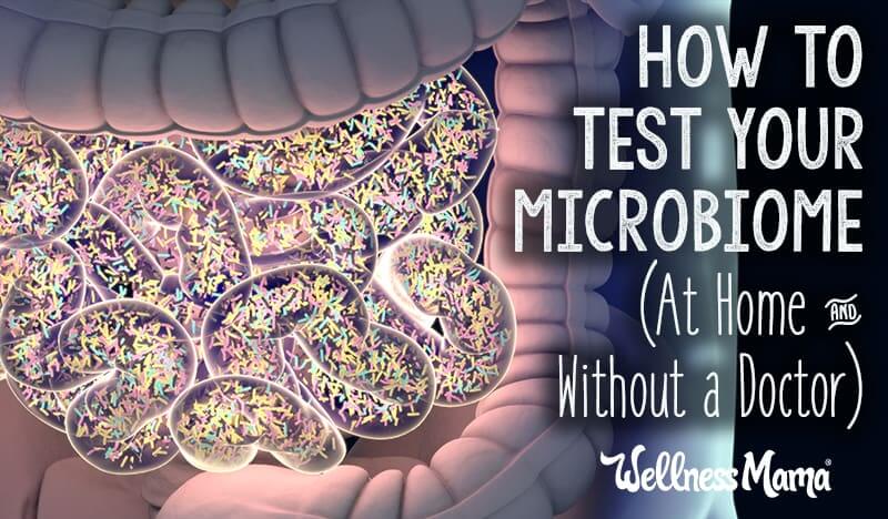 How to Test Your Gut Microbiome (At Home Without a Doctor)
