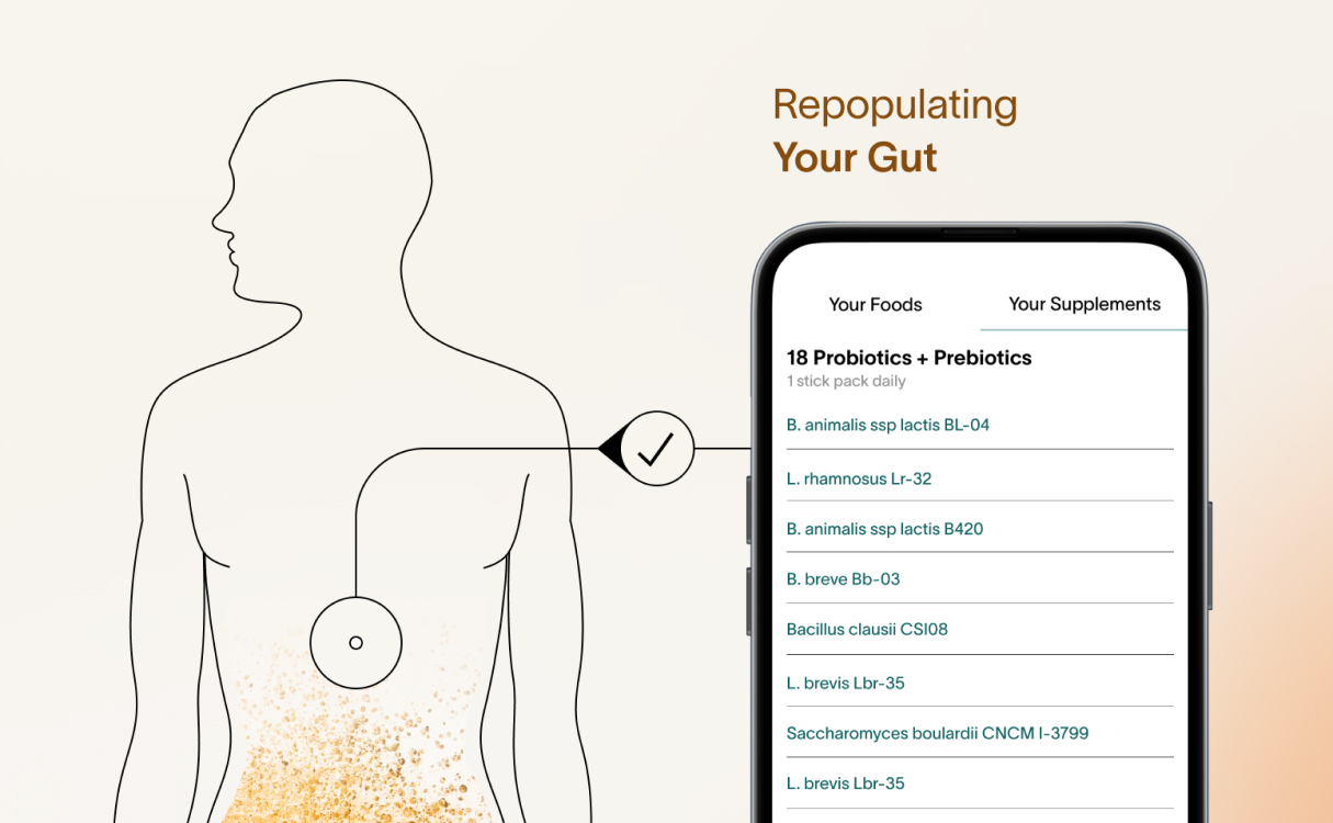 A visual depiction of a human’s gut repopulating with nutrients from personalized probiotics and prebiotics