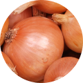 Viome - Onions Icon